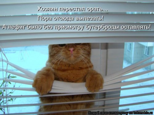 Котоматрица для всех позитив