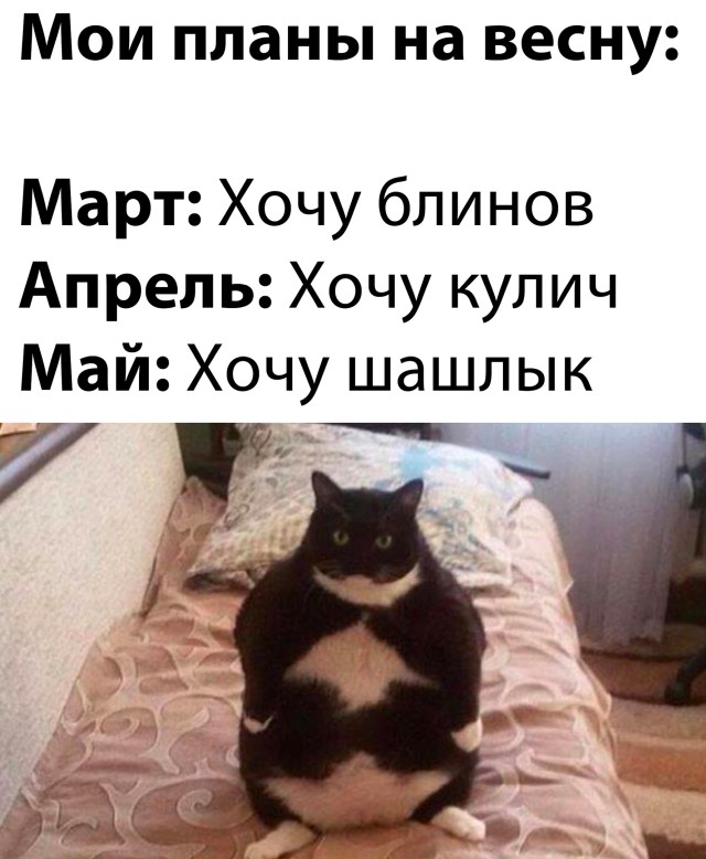 Подборка смешных картинок. Вечерний выпуск Подборка смешных картинок. Вечерний выпуск