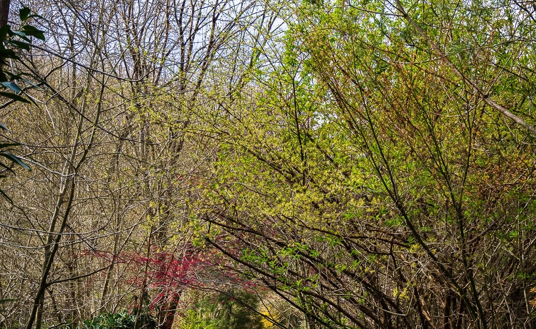 Очередные 10 000 шагов к здоровью Очередные 10 000 шагов к здоровью коронавирус,медицина,общество,яостаюсьдома