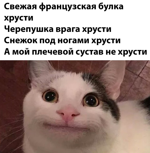 Подборка прикольных картинок Подборка прикольных картинок приколы,смешные картинки,юмор