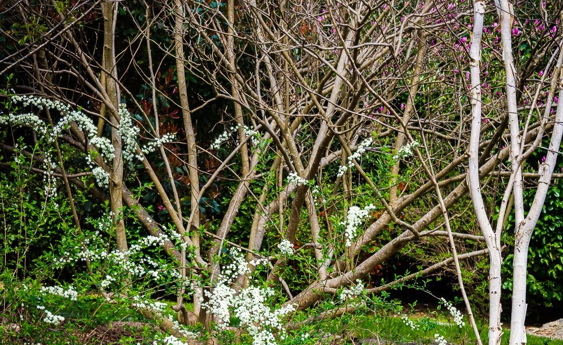 Очередные 10 000 шагов к здоровью Очередные 10 000 шагов к здоровью коронавирус,медицина,общество,яостаюсьдома