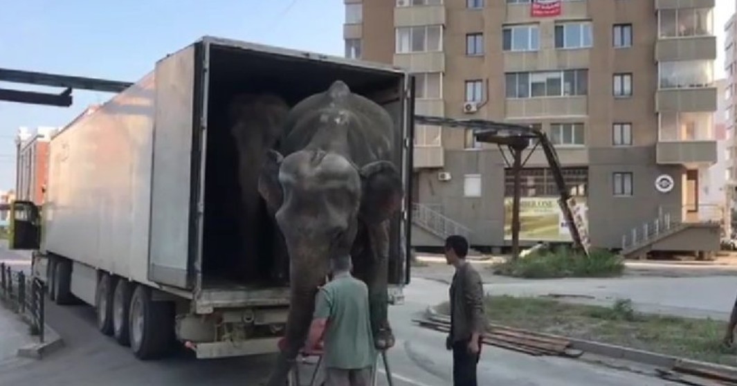 Через всю Якутию в фургоне