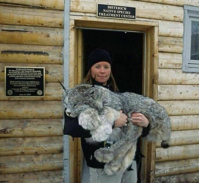 Середина недели — приколы подоспели: «Что нравится в постели?» 