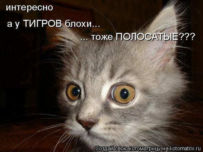 Мысли вслух :)