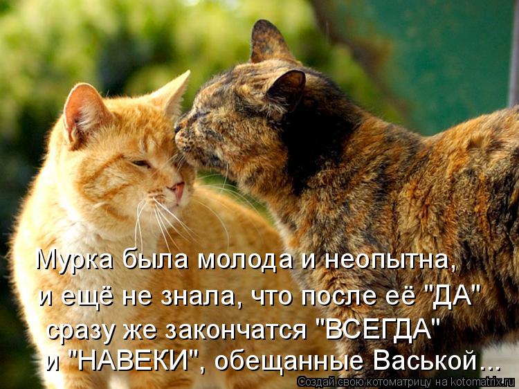 Давайте улыбаться вместе! :) (21улыбока)