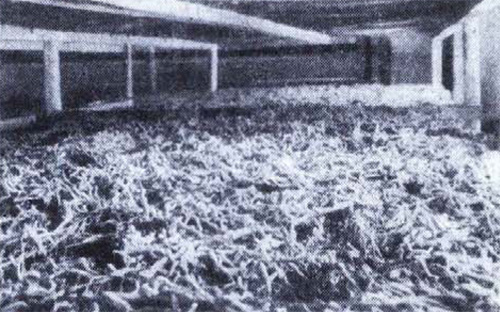 Чудо с продолжением интересное,наука