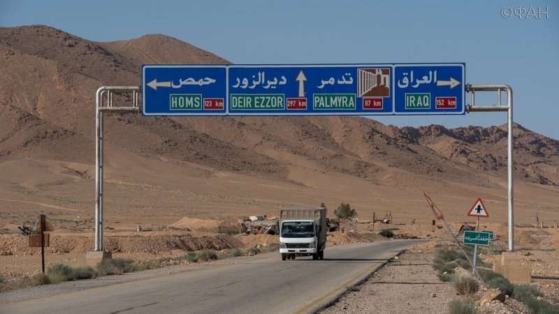 Пальмира: сирийские беженцы возвращаются в освобожденный город