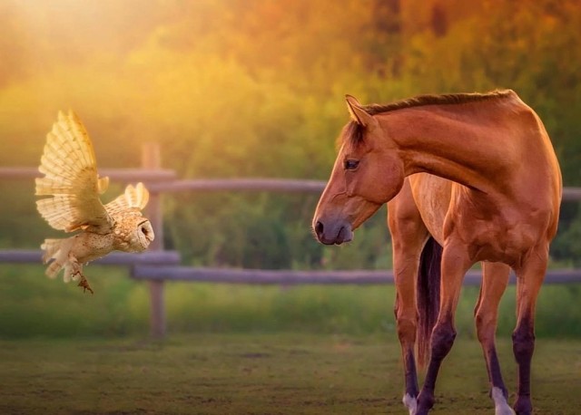 За добро добром