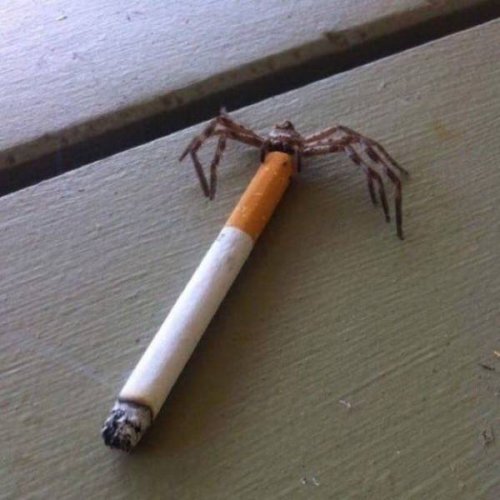 Странности в фотографиях (26 шт)