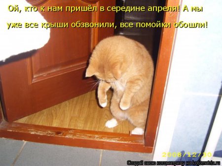 Апрельские котоматрицы