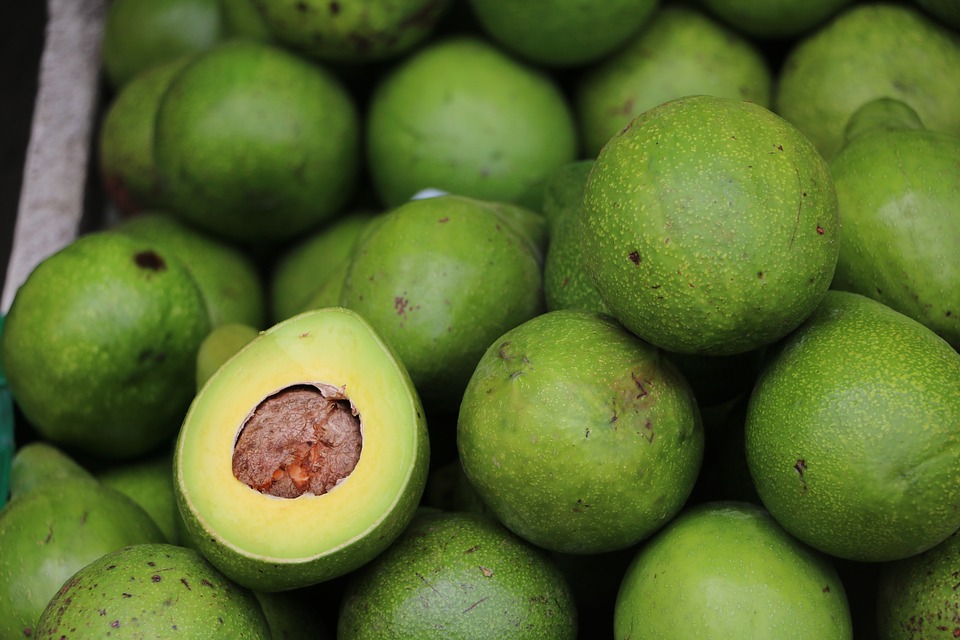 avocado-2742200_960_720