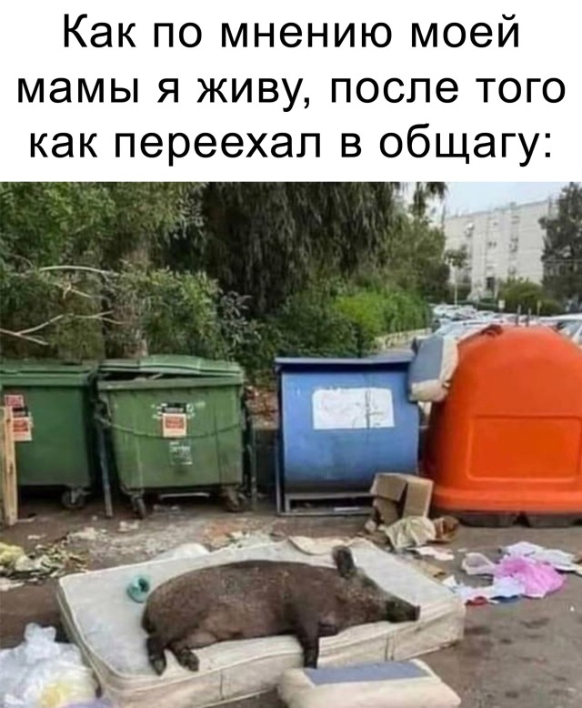 Подборка прикольных картинок Подборка прикольных картинок приколы,смешные картинки,юмор