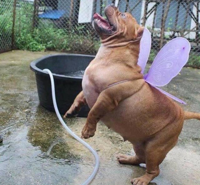 Забавные и прикольные фотографии из нашей жизни Забавные и прикольные фотографии из нашей жизни приколы,смешные картинки,угарные фотки,фото приколы