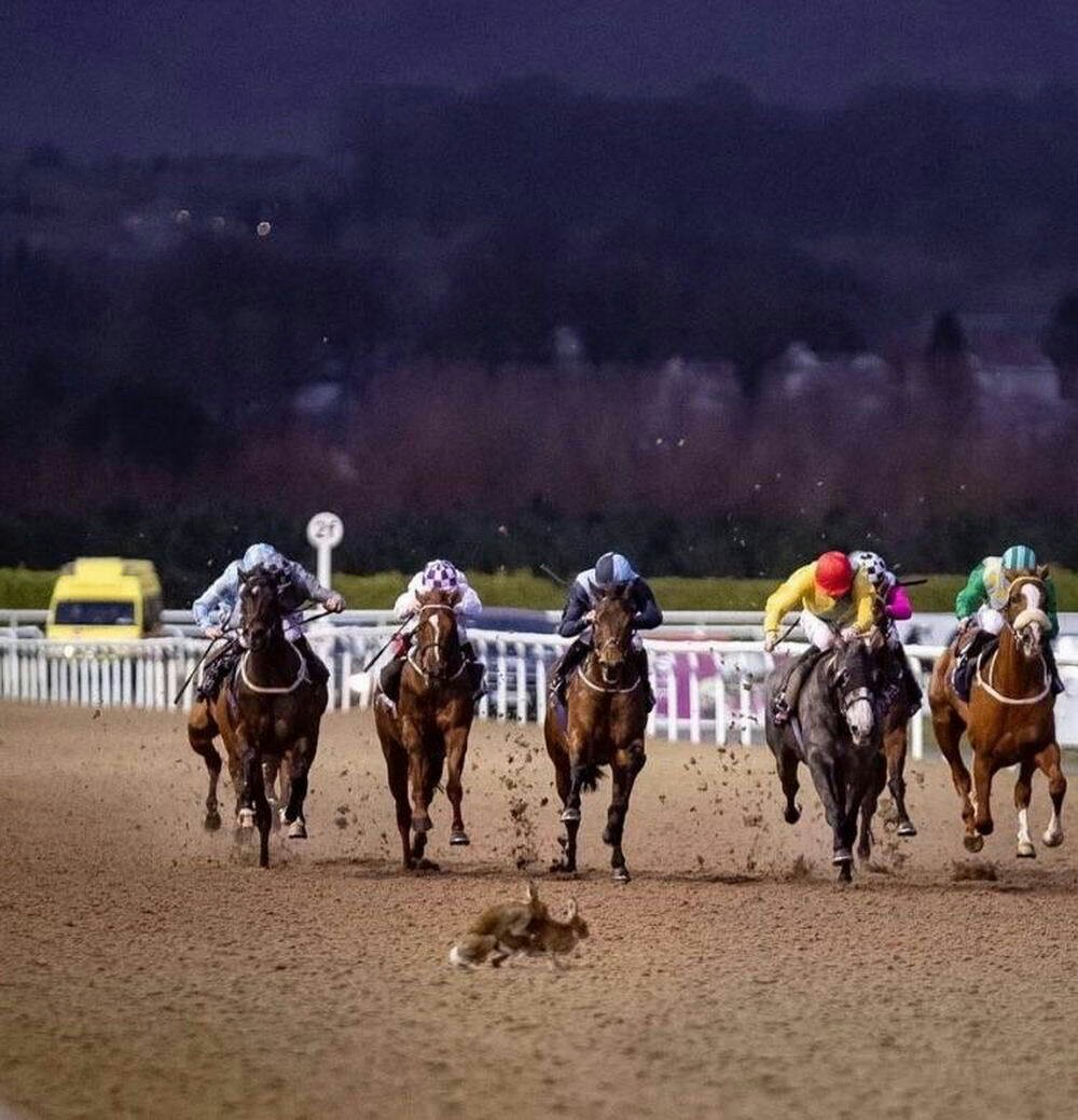 Забавные и прикольные фотографии из нашей жизни Забавные и прикольные фотографии из нашей жизни приколы,смешные картинки,угарные фотки,фото приколы