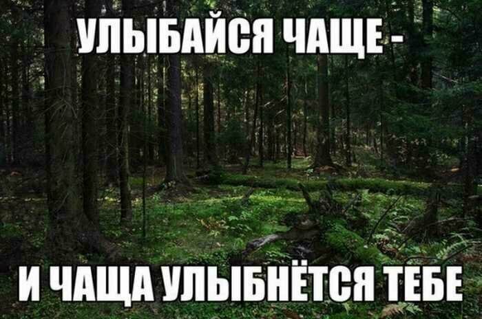 Картинки с надписью иди в лесу
