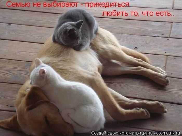 Мысли вслух :)