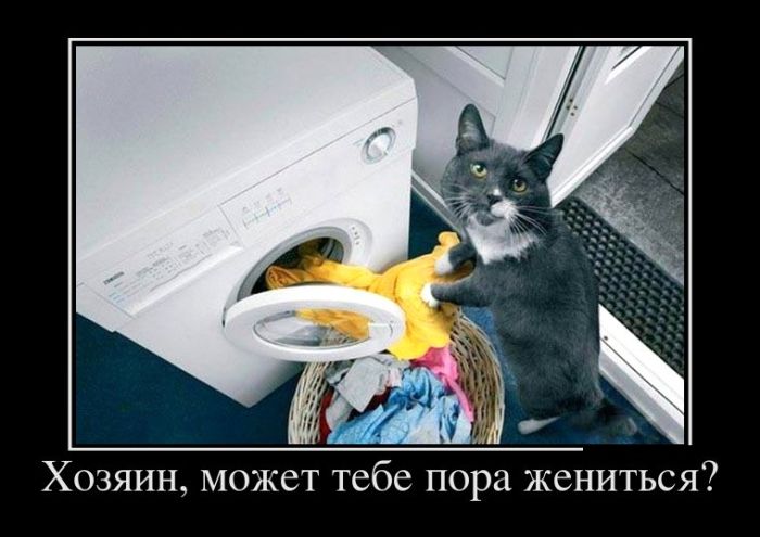 Позитивные демотиваторы на утро (11 фото)
