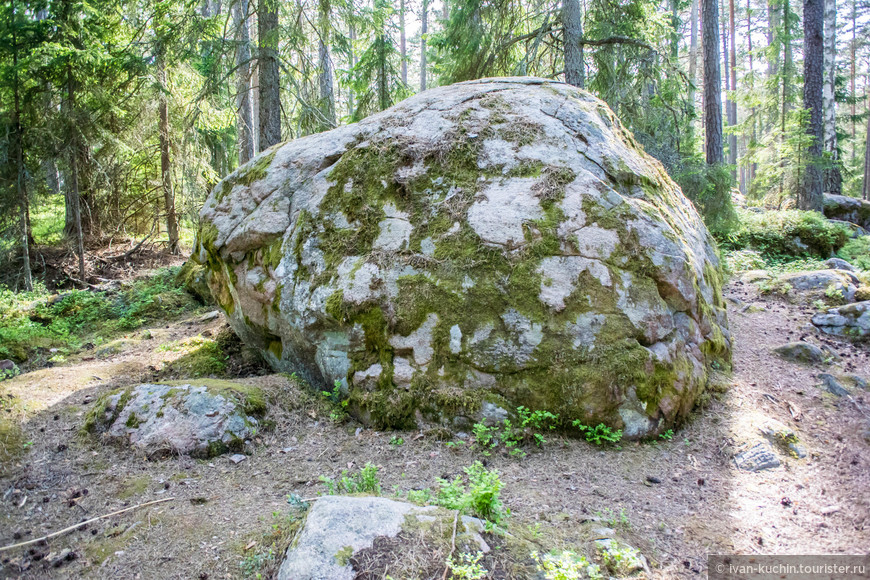Один из больших камней в лесной зоне. Мимо него проходит тропа.