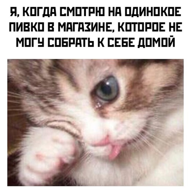 Подборка картинок. Вечерний выпуск Подборка картинок. Вечерний выпуск приколы,смешные картинки,юмор