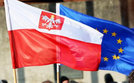 Немцы хотят выгнать Польшу из Евросоюза за жульничество геополитика