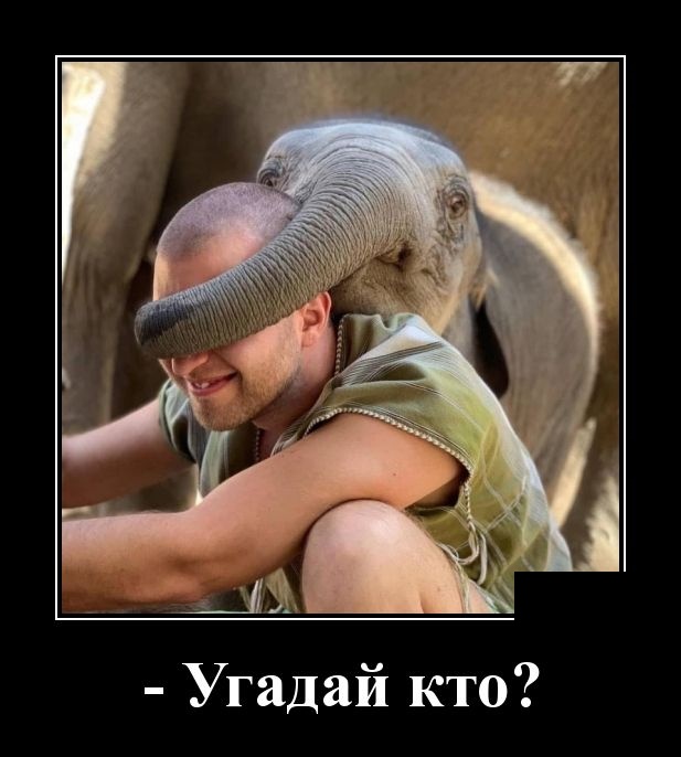 Демотиваторы. "Всё красиво"... Демотиваторы. "Всё красиво"... картинки