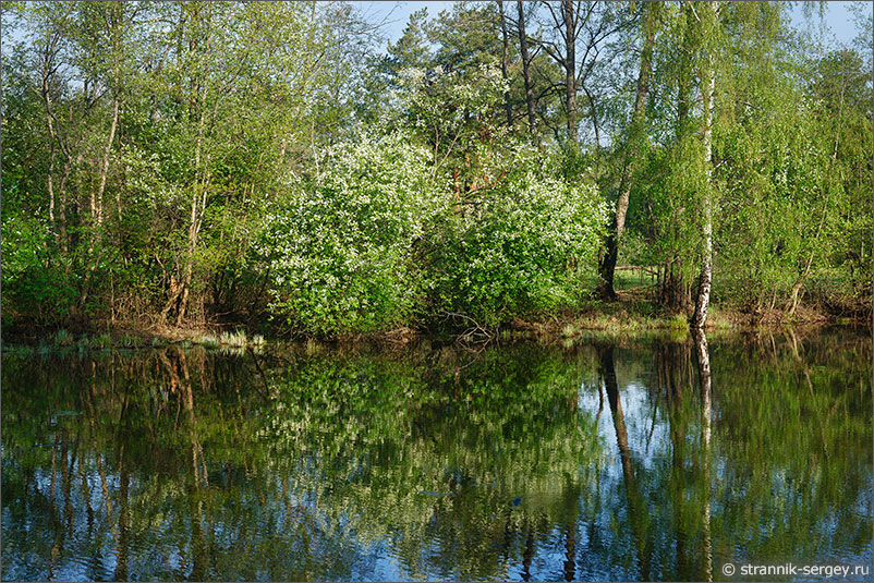 Сказочная страна