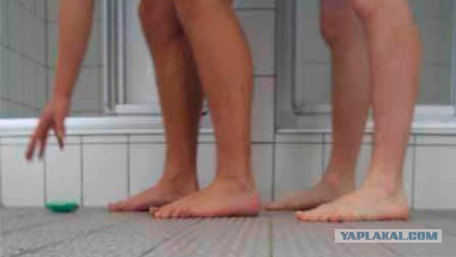 Объяснения нелепых законов законы,нелепости