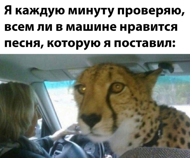 Подборка прикольных картинок 