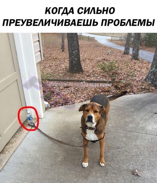 Юмор на разные темы Юмор на разные темы