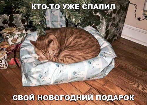 Новогодние мемы с приколами