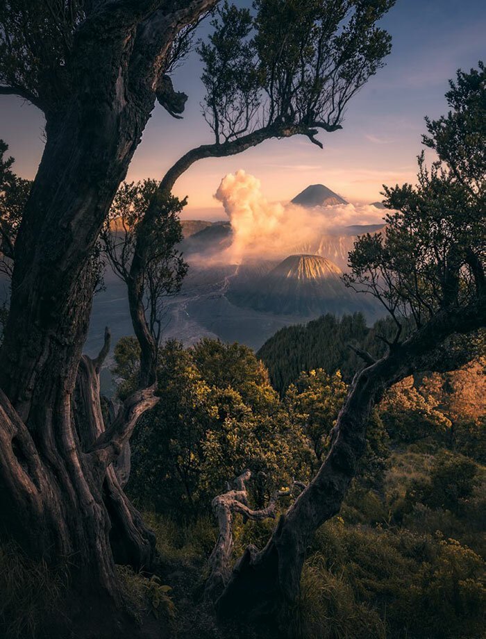 Наша потрясающая планета: 30 лучших пейзажей с конкурса Landscape Photographer Of The Year природа