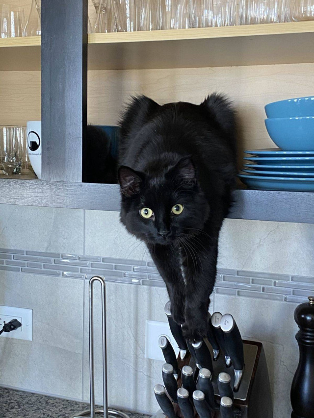 Середина недели — приколы подоспели: «Что нравится в постели?» 