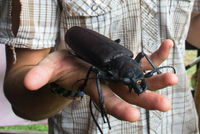 Середина недели — приколы подоспели: «Что нравится в постели?» 