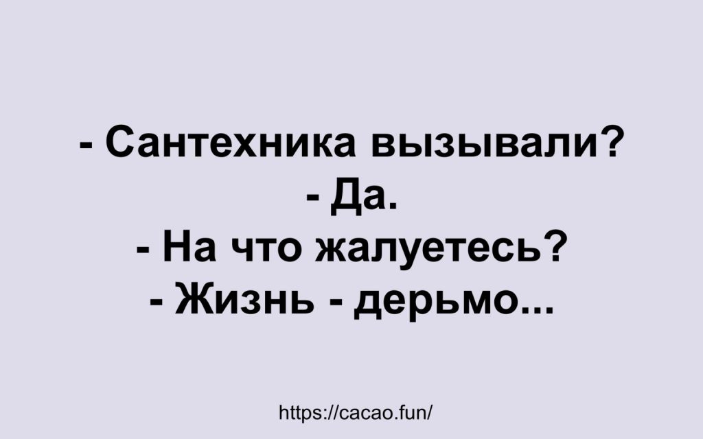 Смешные и интересные шутки, анекдоты, цитаты и фразы 