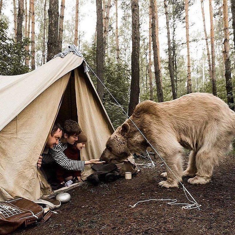 Для по-настоящему красивых фотографий фотошоп не нужен Для по-настоящему красивых фотографий фотошоп не нужен