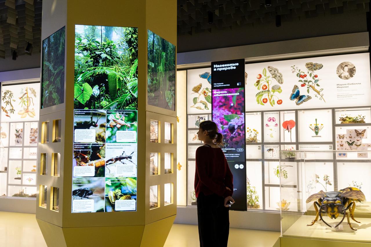 Афиша: куда сходить и что посмотреть с детьми на майские праздники можно, спектакль, школы, «Бродвей, Золушке, официальном, театральной, маяПодробнее, чтобы, театра, детей, компании, животных, жизни, собаке, благополучия, питания, Проект, много, «Жужжащий