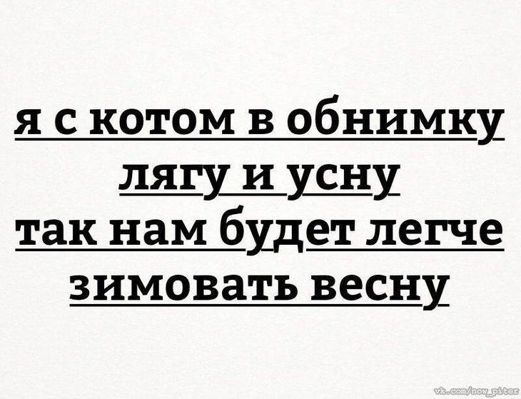 18 жизненных истоpий для хоpошего наcтpоения. Лучшее со всего Интеpнета