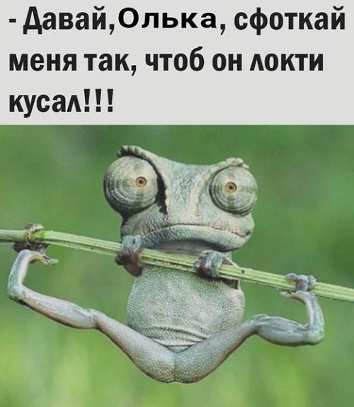 Угарные картинки с надписями 
