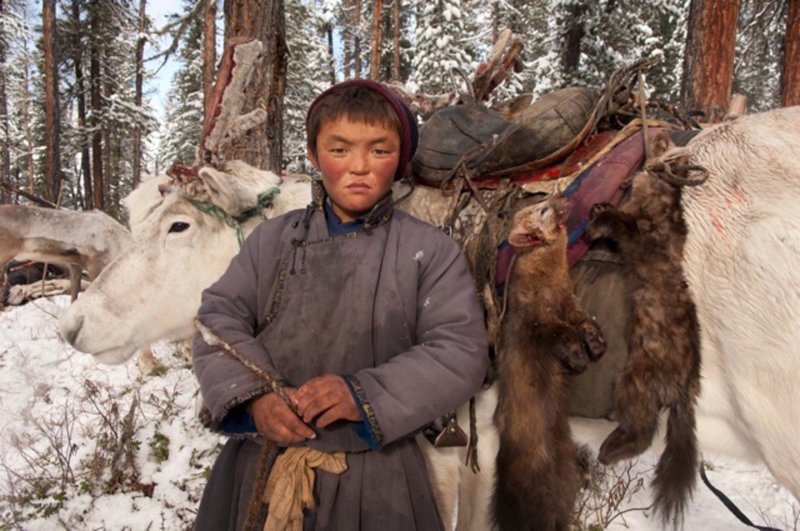 Последние кочевые оленеводы Монголии быт, кочевник, культура, монголия, народ, племя, фотомир, цаатаны