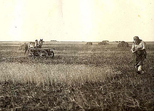 Погодные аномалии в истории России аномалии