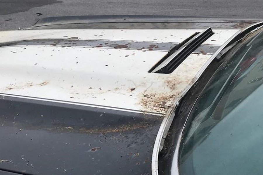 El Camino LS6: 30 лет до исполнения детской мечты El Camino LS6: 30 лет до исполнения детской мечты