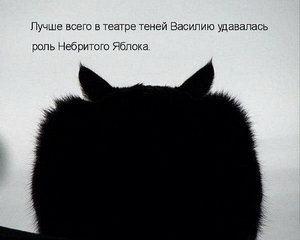 Спор с женщиной - как охота на слона. Если с первого раза не убил - беги столб, Сиэтла, писать, только, Ответ, сказку, сказал, дважды, lines, когда, говорит, можно, одной, очень, девушкой, правильно, мальчик, девушка, города, знает