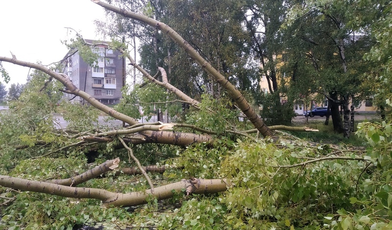 Ураган повалил деревья в Карелии