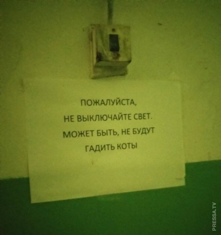 Смешные объявления и реклама Смешные объявления и реклама