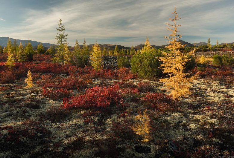 Планета Земля в объективе Вадима Гвона Планета Земля в объективе Вадима Гвона путешествие,турист,Фотография,фототревел