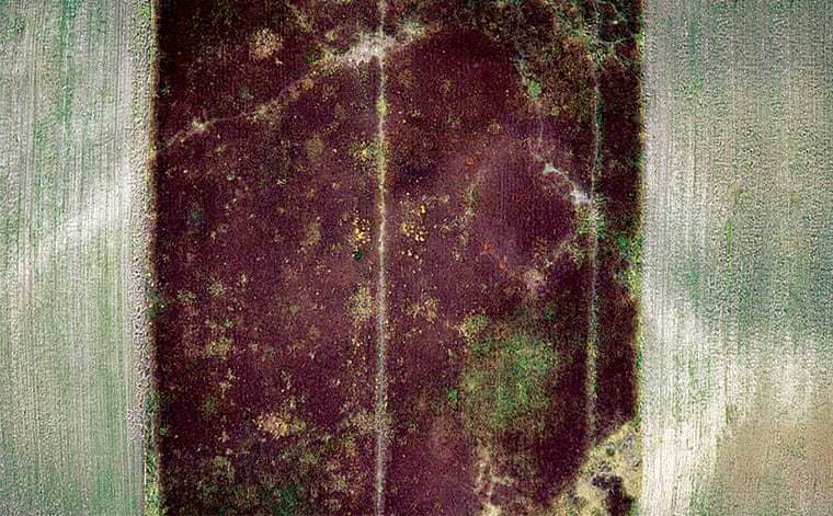 Красочные фотографии о том, насколько волшебна осень в Польше Европа,природа,Путешествия,фото