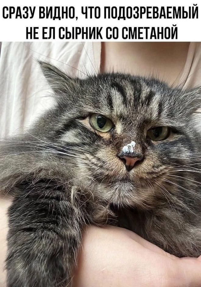 Прикольные картинки с подписями 