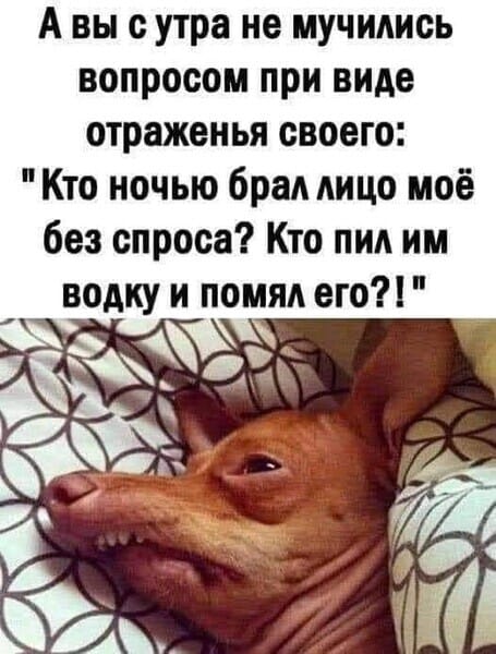 Юмор из интернета 673 Юмор из интернета 673 позитив,смех,улыбки,юмор