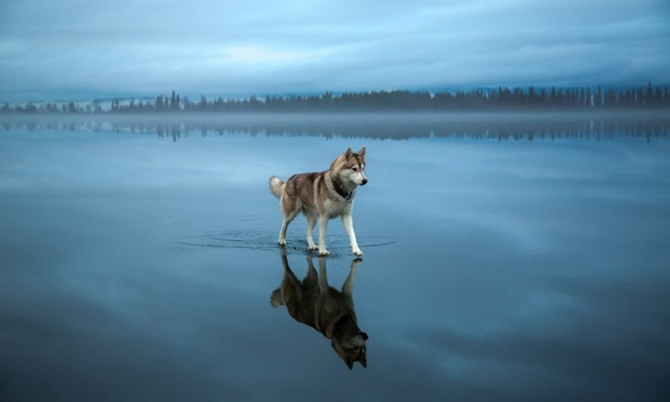 20 умопомрачительных снимков 2015 года без фотошопа