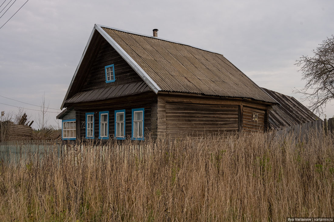 Фото тверских деревень. Тверская обл вымершие деревни. Тверская область вымирающие деревни. Деревня Дядино Кувшиновский район Тверская область. Заброшенные деревни Тверской области Кувшиновского района.